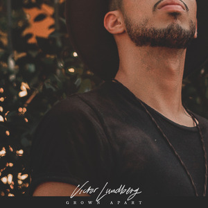 业余性自由摘花毛茸茸高清
