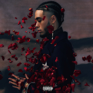 业余性自由摘花毛茸茸高清
