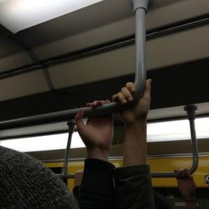 业余性自由摘花毛茸茸高清
